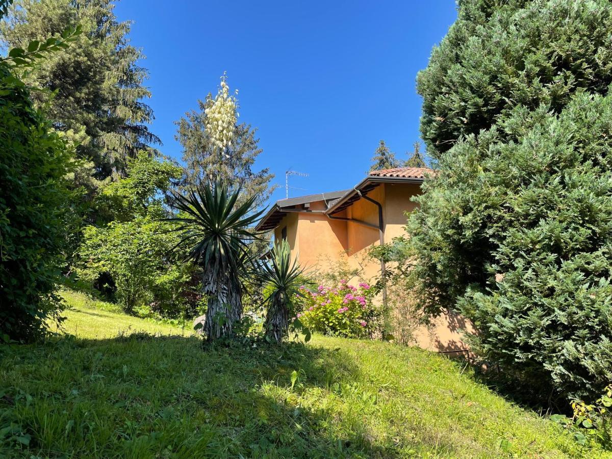 Appartamento Lake View Di Villa Giuliana Sulzano Εξωτερικό φωτογραφία